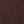 Celesty - DARK BROWN - image 5
