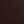 Coquettte - DARK BROWN - image 5