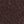 Coquettte - BROWN - image 5